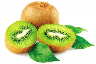 水源地特產(chǎn)獻(xiàn)禮中原人民